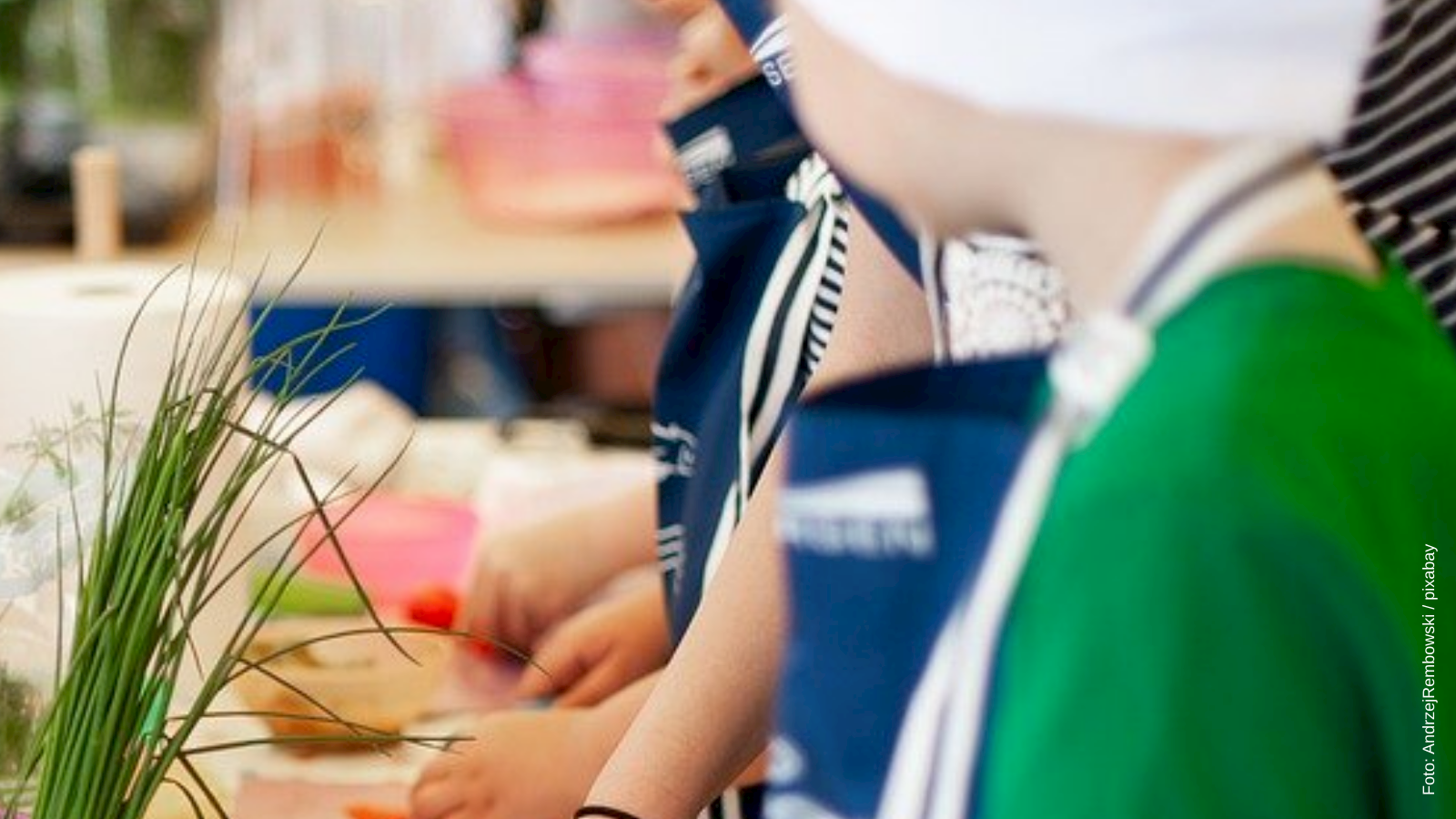 Antrag Gesundes und nachhaltiges Essen in den städtischen